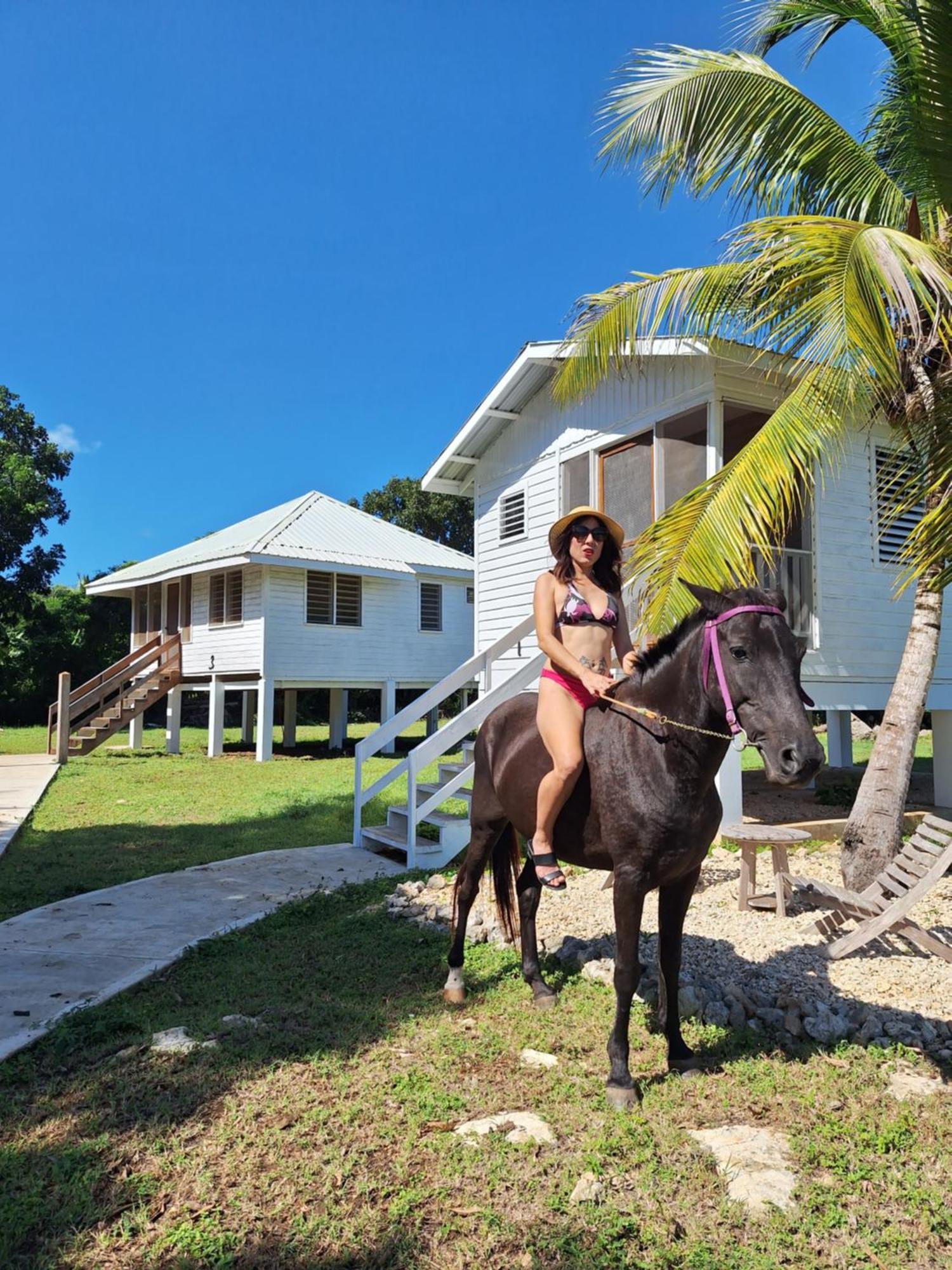 Horse Cottage Sarteneja Ngoại thất bức ảnh