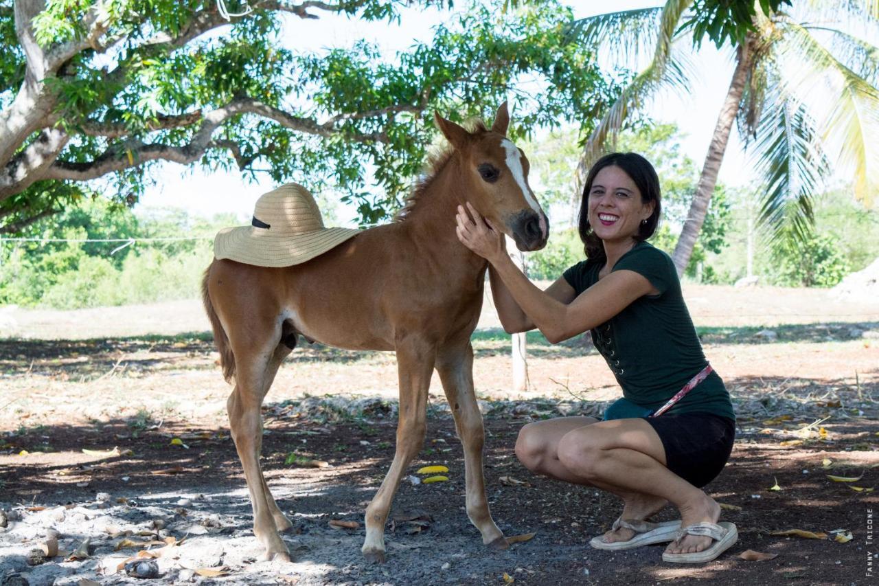 Horse Cottage Sarteneja Ngoại thất bức ảnh