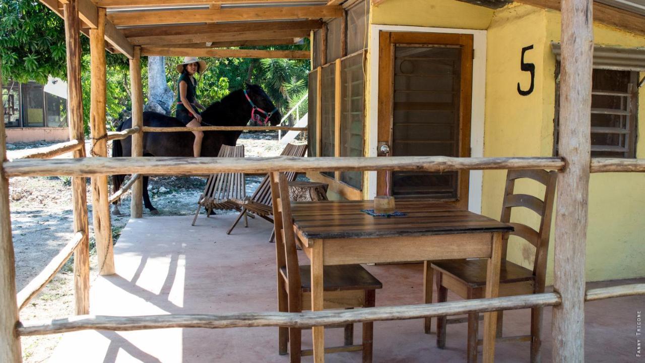 Horse Cottage Sarteneja Ngoại thất bức ảnh